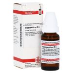 RHODODENDRON D 4 Dilution (PZN 2104761) из Германии