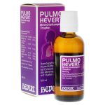 PULMO HEVERT Bronchialcomplex Tropfen (PZN 353448) из Германии