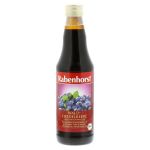 RABENHORST Heidelbeer Bio Muttersaft (PZN 6679346) из Германии