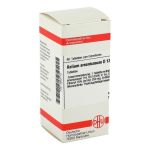 KALIUM ARSENICOSUM D 12 Tabletten (PZN 2632112) из Германии