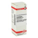 CAULOPHYLLUM THALICTROIDES D 4 Dilution (PZN 2112105) из Германии