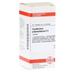 GNAPHALIUM POLYCEPHALUM D 2 Tabletten (PZN 2116818) из Германии