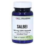 SALBEI 120 mg GPH Kapseln (PZN 7350996) из Германии