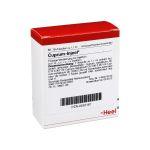 CUPRUM INJEEL Ampullen (PZN 252167) из Германии