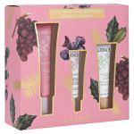 Caudalie Gesichtspflege-Set "Hydration Favorites" (PZN 80001045) из Германии