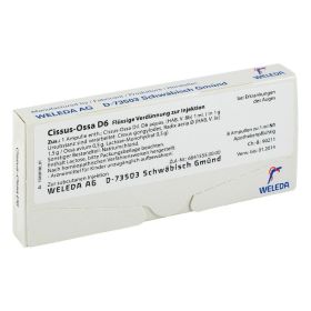 CISSUS-OSSA D 6 Ampullen – PZN 1630795 (PZN 1630795) из Германии