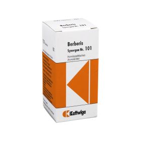 SYNERGON KOMPLEX 101 Berberis Tabletten – PZN 4905732 (PZN 4905732) из Германии