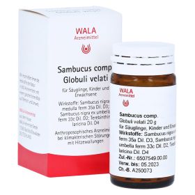 SAMBUCUS COMP Globuli – PZN 8787554 (PZN 8787554) из Германии